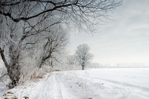 Paesaggio invernale — Foto Stock