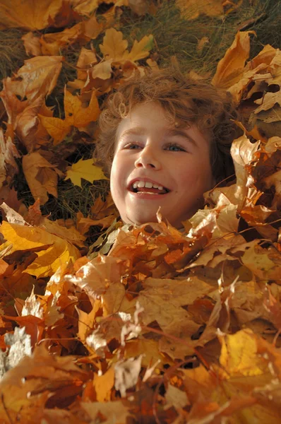 Jongen in gebladerte — Stockfoto