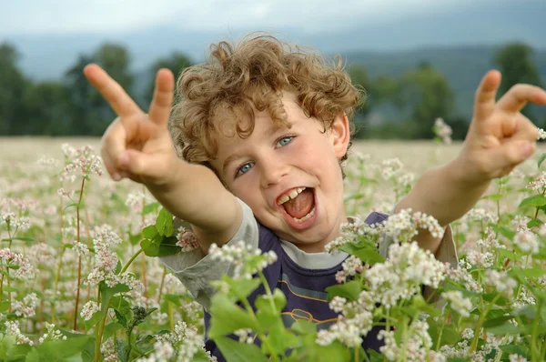 Junge auf dem Feld — Stockfoto