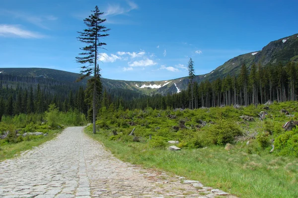 Berglandschaft — Stockfoto