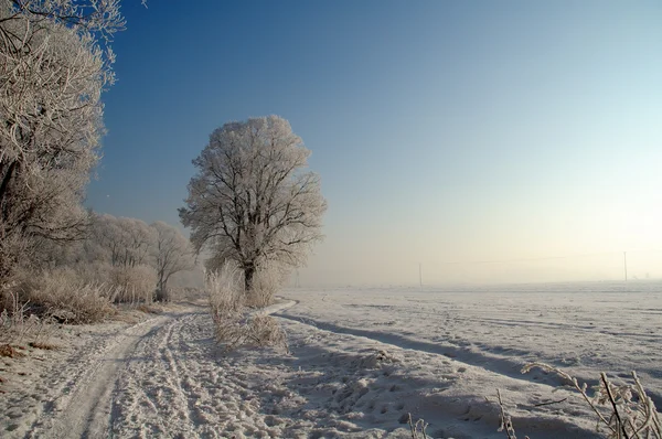 Paesaggio invernale — Foto Stock