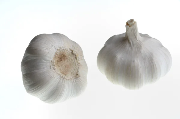 Knoblauch — Stockfoto