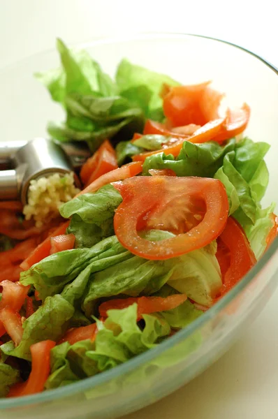 Ensalada de verduras — Foto de Stock