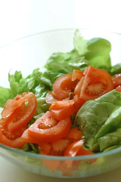 Ensalada de verduras — Foto de Stock