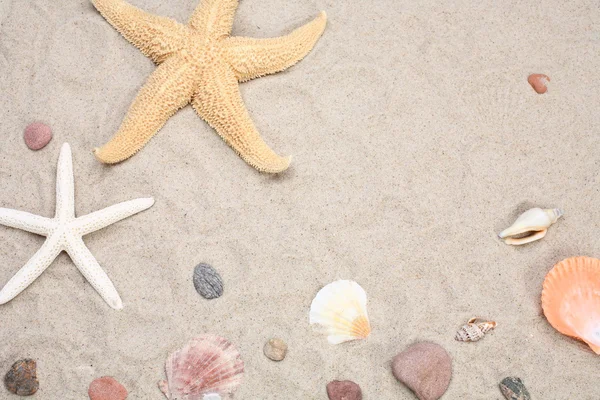 Starfish and seashells on sand — Stock Photo, Image