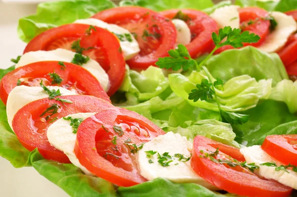 Salade fraîche avec mozzarella et tomates — Photo