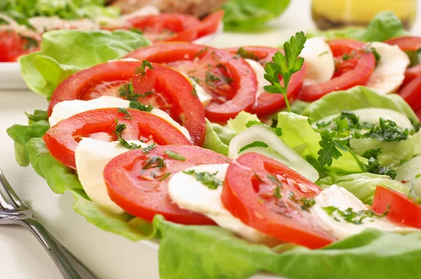 Fresh salad with mozzarella and tomatoes — Stock Photo, Image
