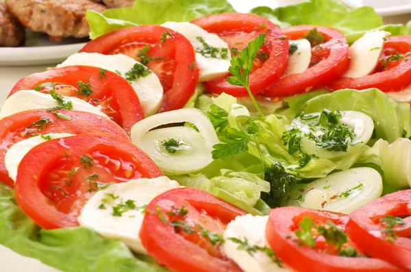 Verse salade met mozzarella en tomaten — Stockfoto