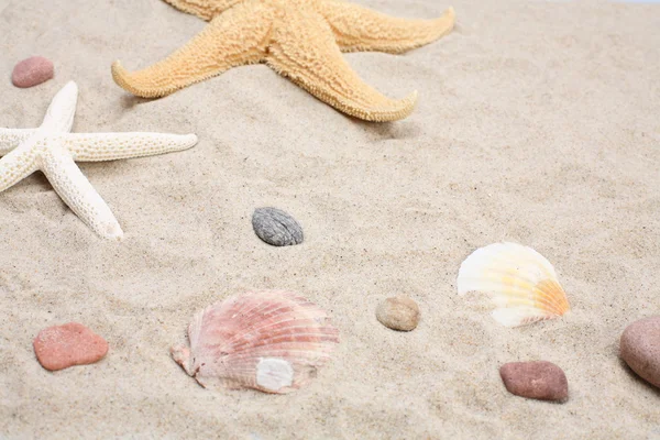 Starfish and seashells on sand — Stock Photo, Image