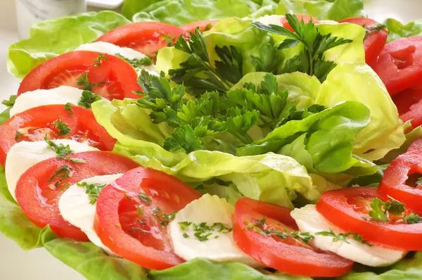 Verse salade met mozzarella en tomaten — Stockfoto