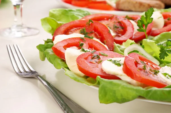 Свежий салат с моцареллой и помидорами — стоковое фото