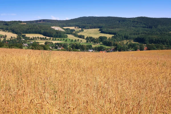 Landbouw — Stockfoto