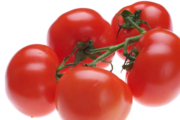 Tomates vermelhos maduros — Fotografia de Stock