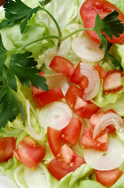 Groente salade — Stockfoto