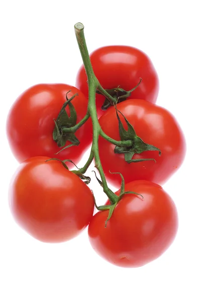 Red ripe tomatoes — Stock Photo, Image