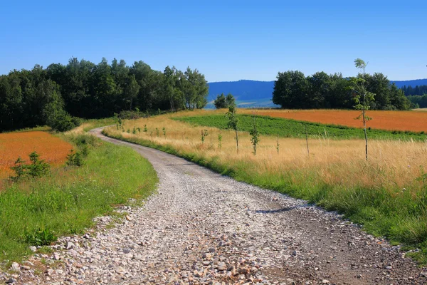 Landweg — Stockfoto