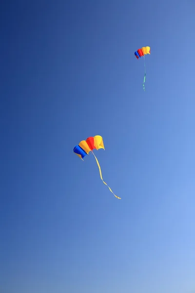 Zmeu colorat care zboară în vânt — Fotografie, imagine de stoc