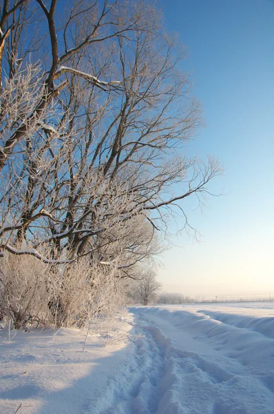 Paisaje invierno —  Fotos de Stock