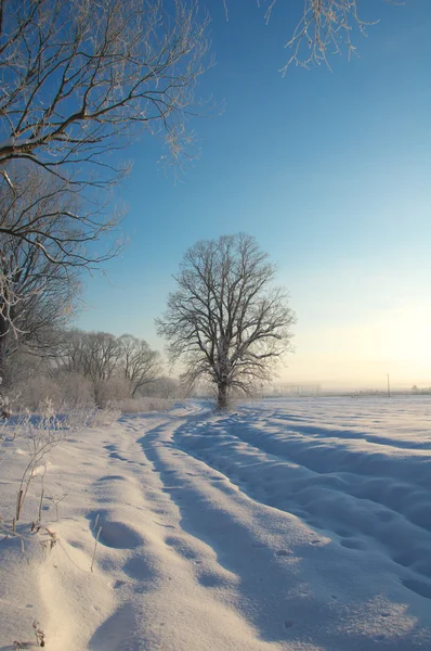 Paisaje invierno — Foto de Stock