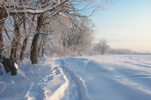 Paesaggio invernale — Foto Stock