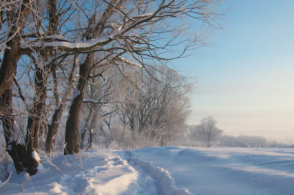 Paesaggio invernale — Foto Stock