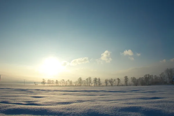 Paesaggio invernale — Foto Stock