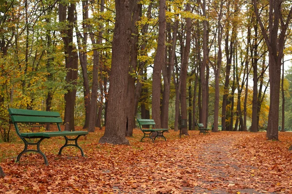 Höst i parken — Stockfoto