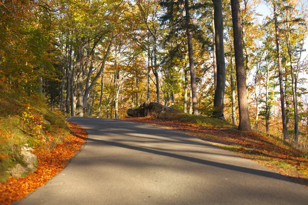 Strada autunnale — Foto Stock