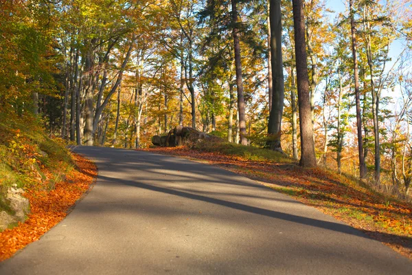 Herfst in het park — Stockfoto