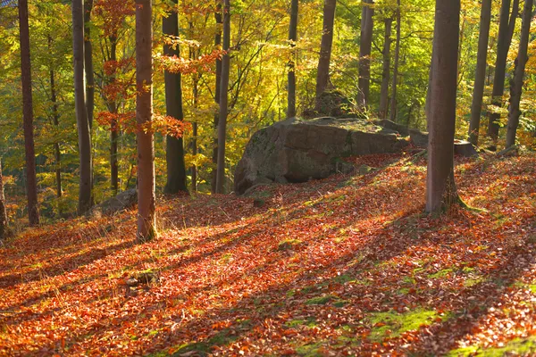 Herfst in het park — Stockfoto