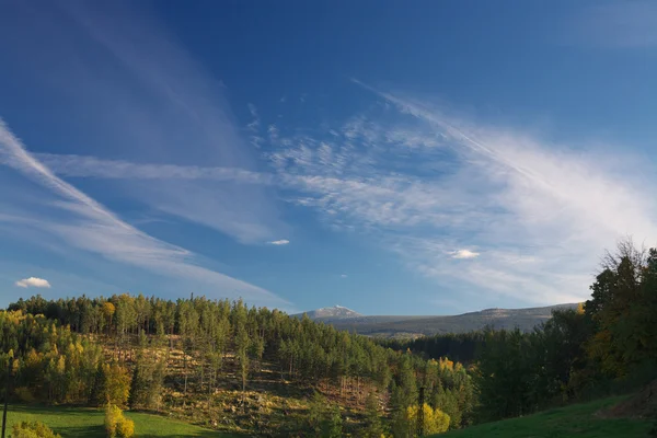 Sommarlandskap — Stockfoto