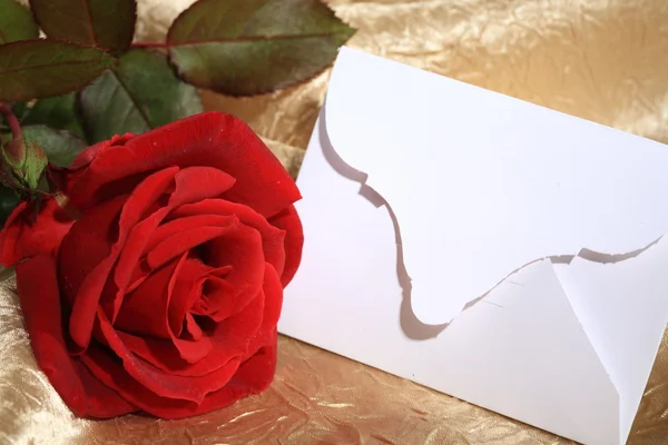 Червона троянда і порожня картка — стокове фото