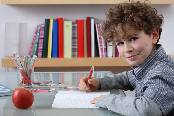 Jongen leren thuis — Stockfoto