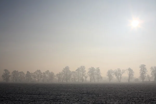 Paesaggio invernale — Foto Stock