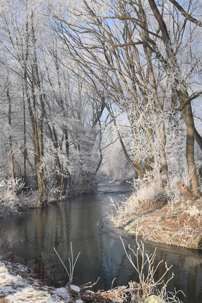 Paesaggio invernale — Foto Stock