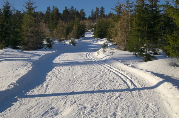 Pista da sci — Foto Stock