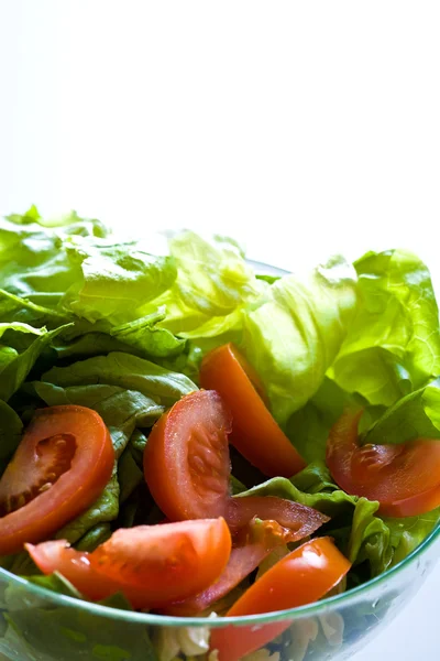 Salade — Stockfoto