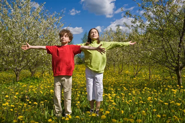 Bambini che corrono sul prato verde — Foto Stock