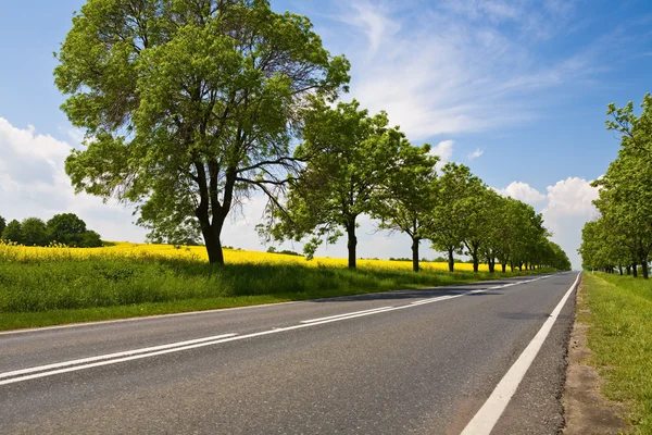 Carretera — Foto de Stock