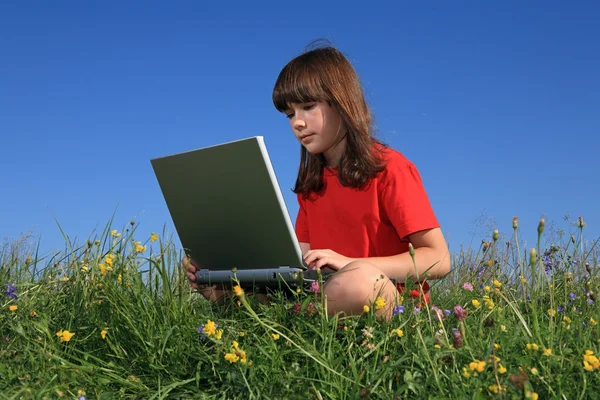 Lány a zöld rét laptop — Stock Fotó