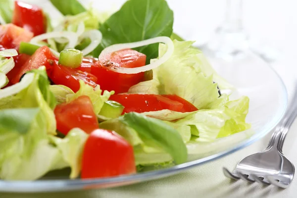 Gemüsesalat — Stockfoto