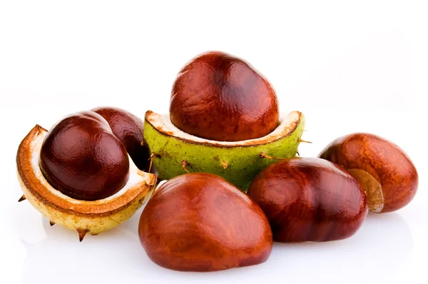 Chestnuts — Stock Photo, Image