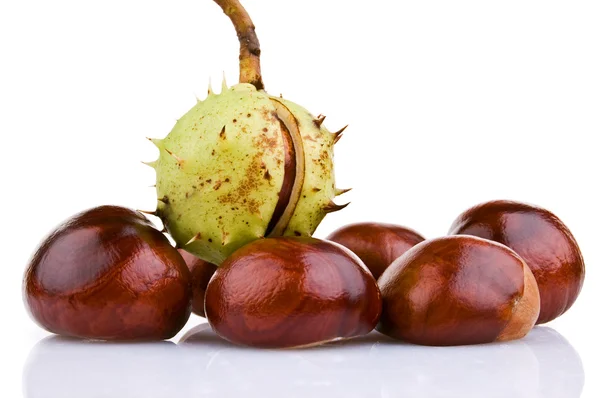 Chestnuts — Stock Photo, Image