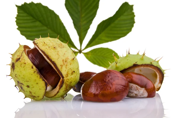 Chestnuts — Stock Photo, Image