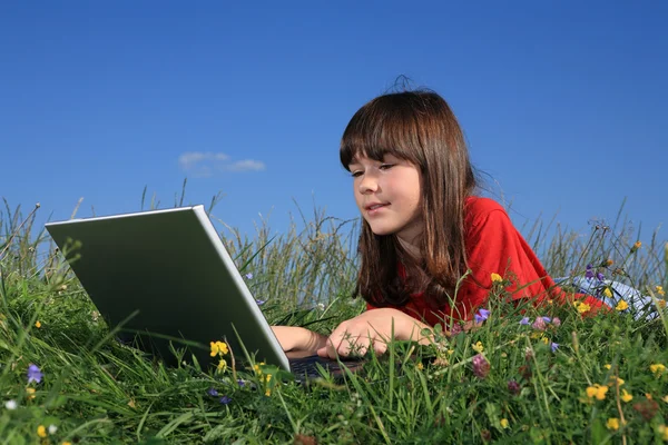 Girl with laptop on green meadow Royalty Free Stock Images