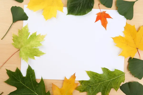 Various autumn leaves with space for text — Stock Photo, Image