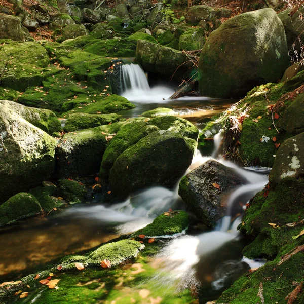 Flusso d'acqua in autunno scenario — Foto Stock