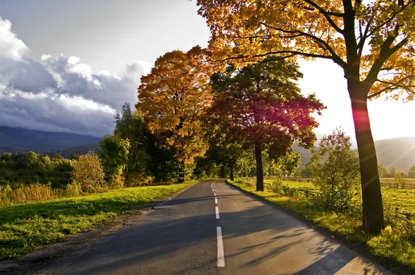 Herbststraße — Stockfoto