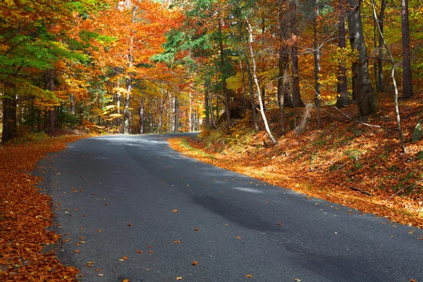 Sonbahar yol — Stok fotoğraf