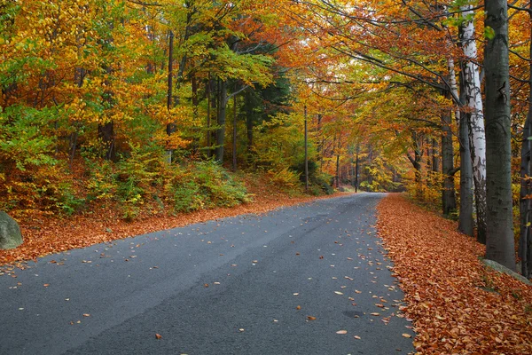 Herfst weg — Stockfoto